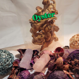 Load image into Gallery viewer, Oyster Mushroom